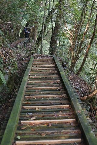 晴天旅遊 世界奇景及克羅埃西亞行程的專家