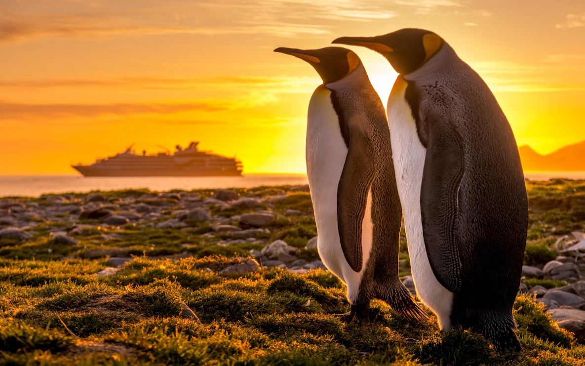 2028 奇寶Seabourn南極三島．極地奢華遊輪探險之旅27日(過年團)