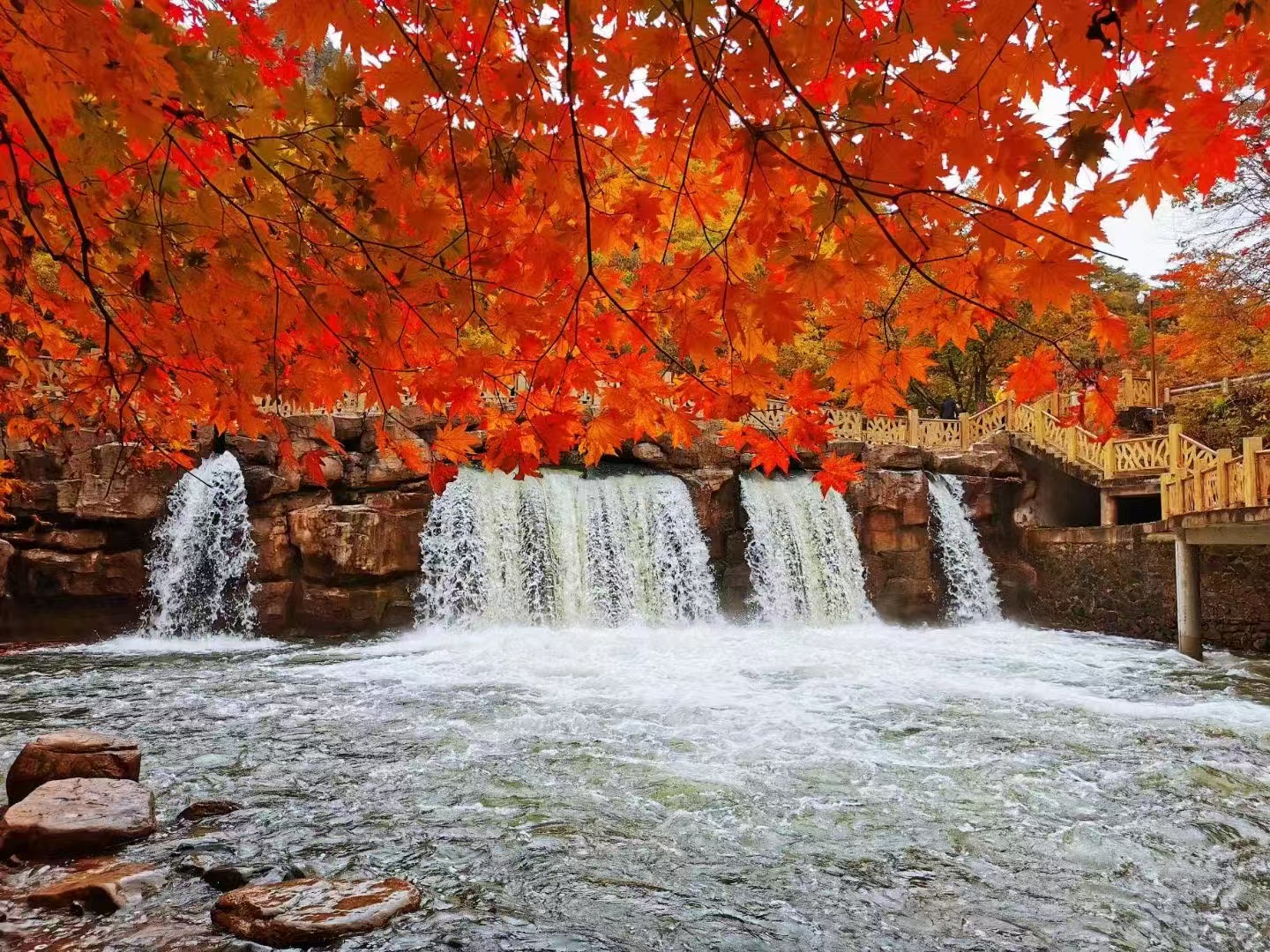 晴友讀中：東北三省深度巡遊~關門山秋色10日