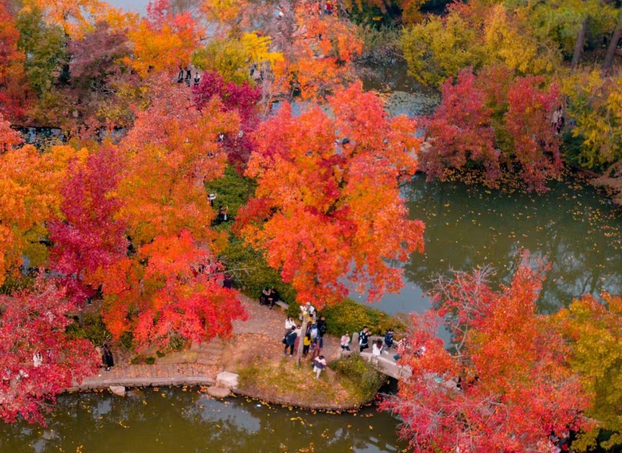晴友讀中：慢遊江南~天平山秋色9日